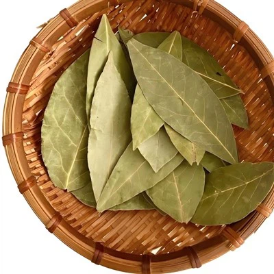 Feuilles de laurier séchées